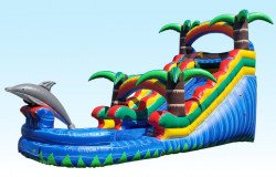 15 Foot Dolphin Splash Slide