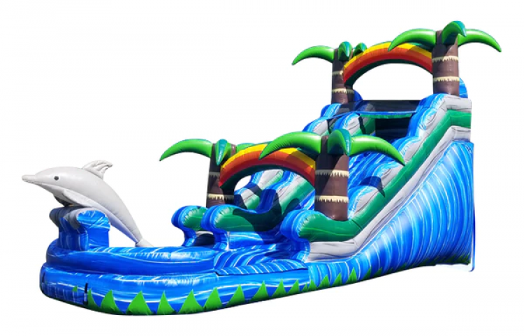 15' Dolphin Splash Slide