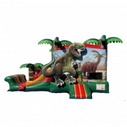 Dinosaur Bounce and Slide