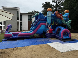 Mermaid Dual Lane Combo Bounce and Slide