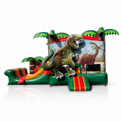 Dinosaur Bounce and Slide