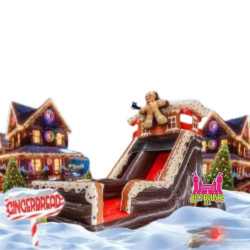 19' Gingerbread House Dry Slide
