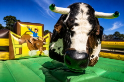Mechanical Bull